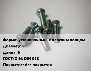 Винт установочный, с плоским концом 5х6 DIN 913 без покрытия